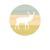 Hirsch