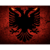 Albanische T-Adler