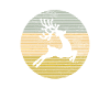 Élan