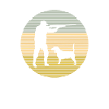 Hunt