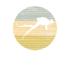 Dive