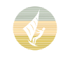 Kite