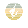 Kite