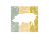 Cochon