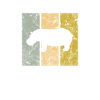 Hippopotamus