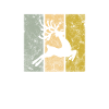 Élan