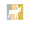 Cerf