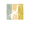 Lizard