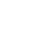 Voice treaty truth