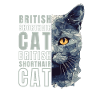 British-Shorthair Cat Lover Geometry