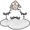 Meditation Sheep