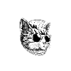 catastrophe