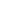 Saurier Raptor Velociraptor