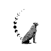 Guépard - Lune - Étoiles - Fantaisie