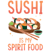 Sushi ist meine Leibspeise