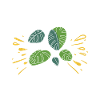 Monstera Mama