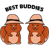 Hamster Best Buddies