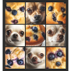 Chihuahua or muffin