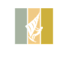 Kite