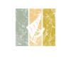 Kite