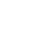 Original 100% Werner