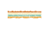Limited Edition 2026