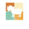 Schaf