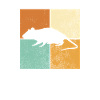 Maus