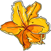 Beautiful yellow flower