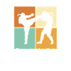 MMA