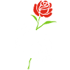Le crâne et la rose