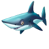 shark