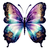 Butterfly Butterfly Animal Insect