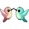 Kolibri Kolibris