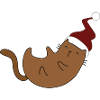 Christmas with funny cat