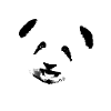 Panda,panda bear,bear,graffiti,white