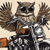 Rocker Eule