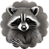 Waschbär 1.7