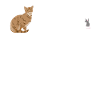 Katzenfreund, Katzenzubehör Geschenk