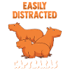 Capybara Rodent Capybara Pet
