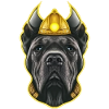 HUND STOK CORSO VIKING