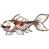 Cute Koi Karp Fish
