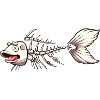 Koi Karp Fish Skeleton