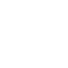 Freelancer