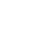 CAT LOVER