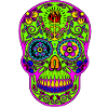 SKULL
