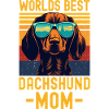Dachshund with sunglasses retro