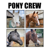 PONY CREW