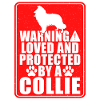 Cadeaux Collie