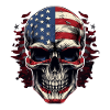 Skull USA - America Skull